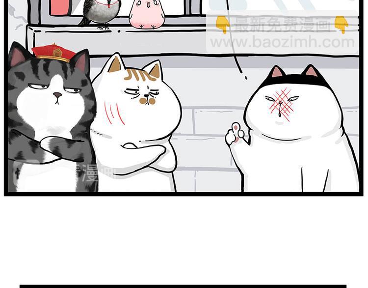 第277话 猫斗猫32