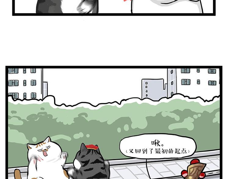 第277话 猫斗猫34