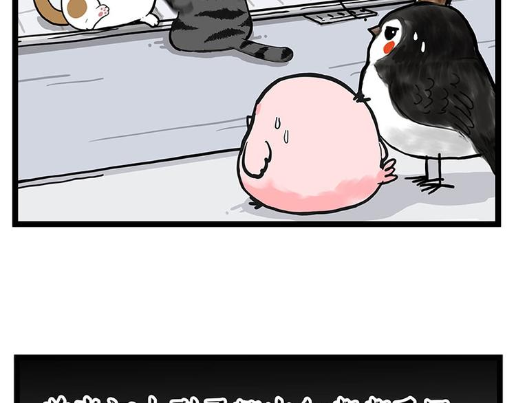 第277话 猫斗猫35