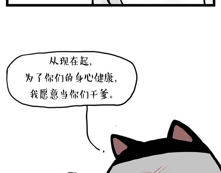 第277话 猫斗猫37