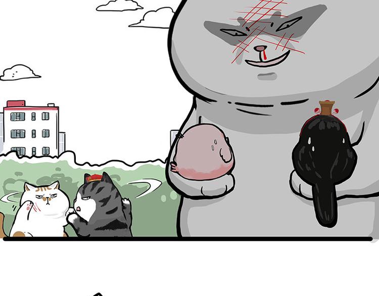 第277话 猫斗猫38