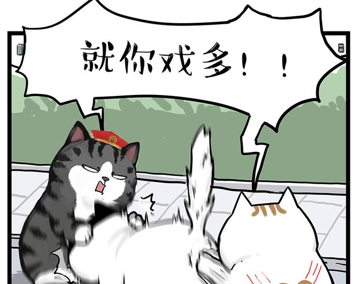 第277话 猫斗猫39