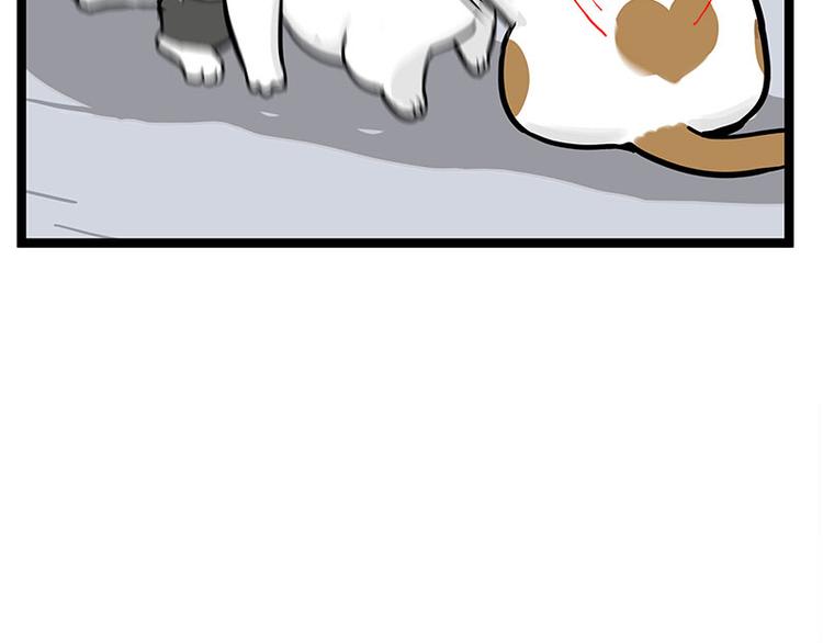第277话 猫斗猫40