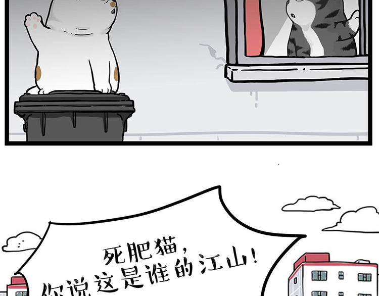 第277话 猫斗猫5