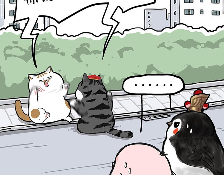 第277话 猫斗猫6