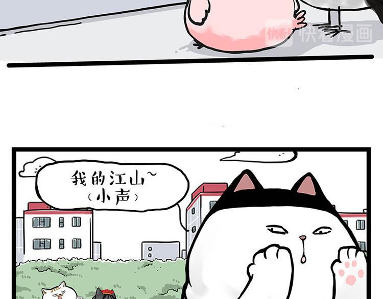 第277话 猫斗猫7