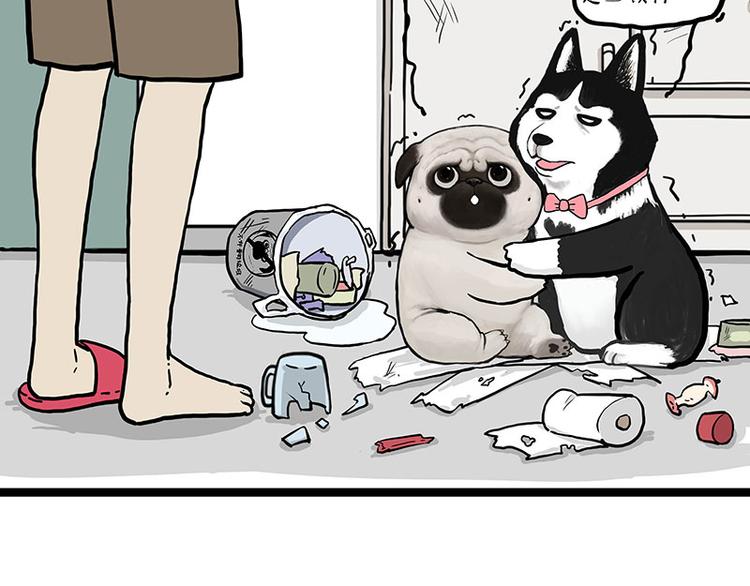 第280话 狗上学1