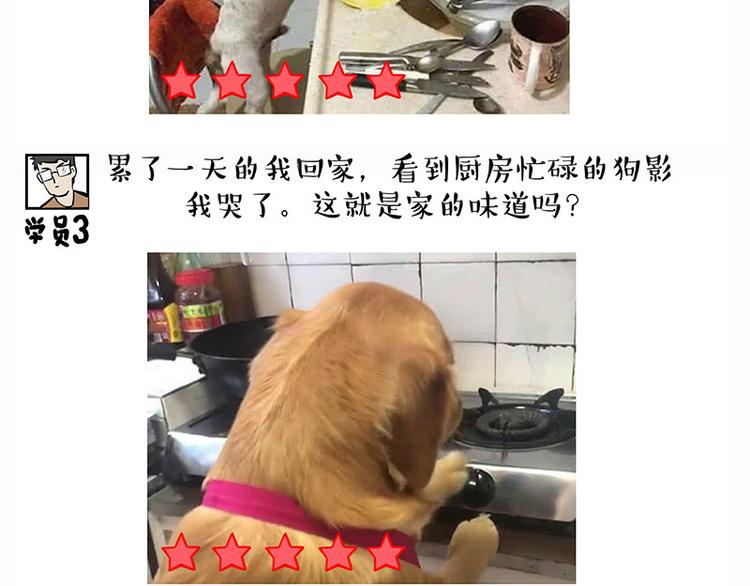 第280话 狗上学12