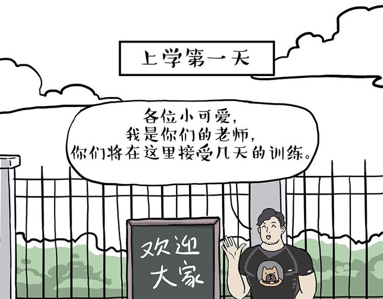 第280话 狗上学17