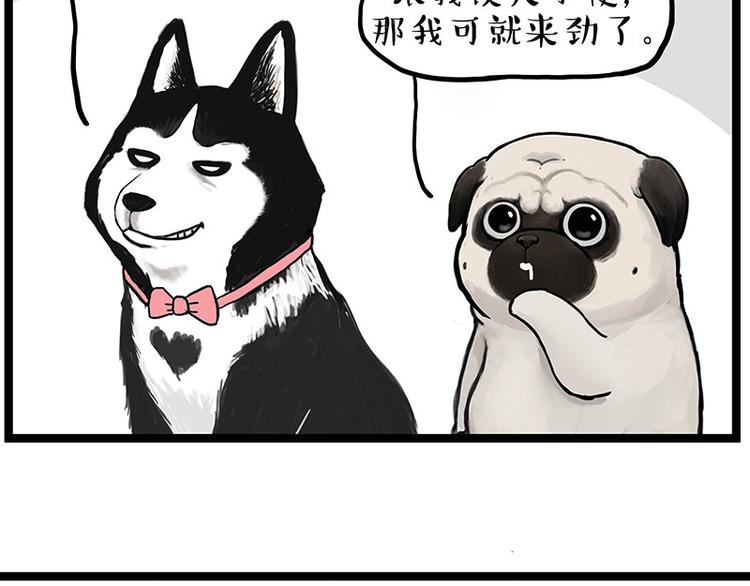 第280话 狗上学22