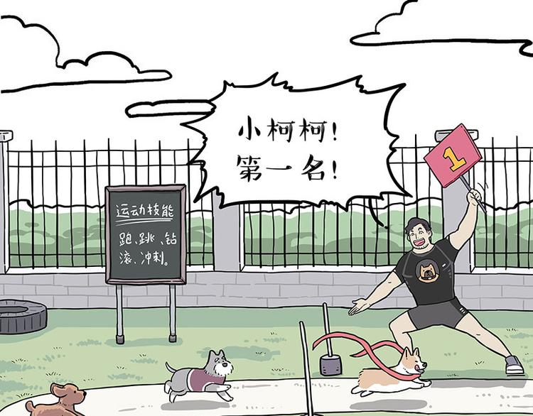 第280话 狗上学41