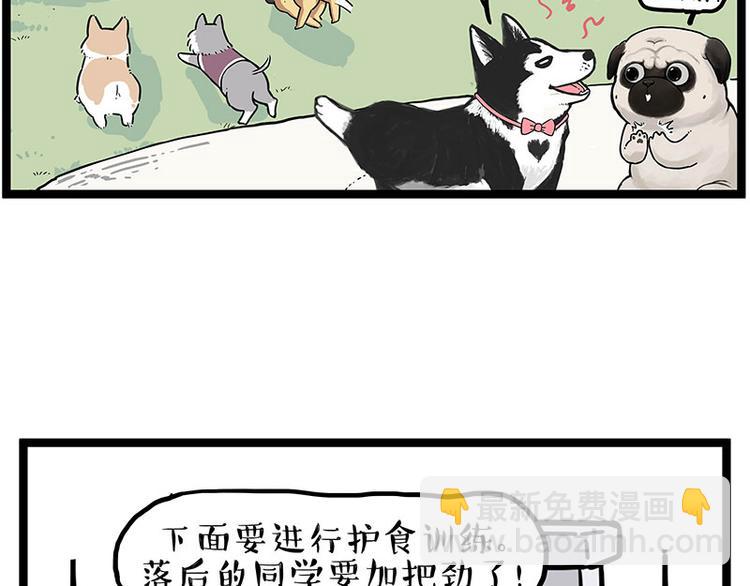 第280话 狗上学45