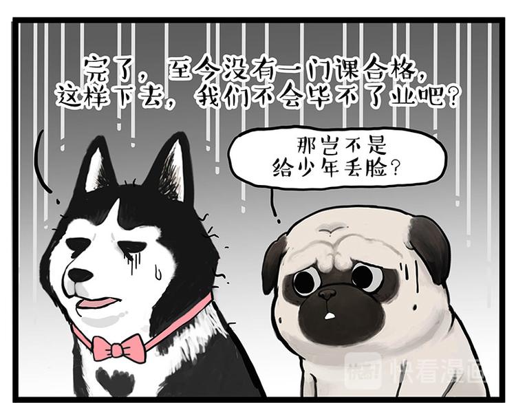 第280话 狗上学55
