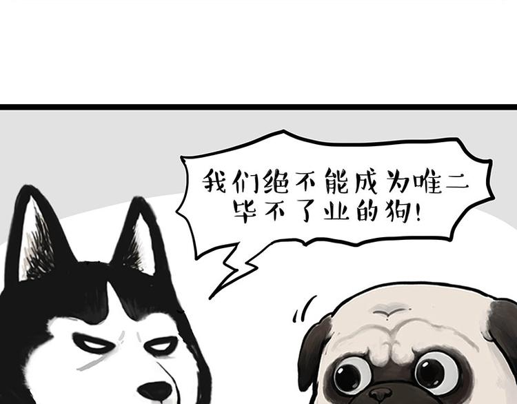 第280话 狗上学56