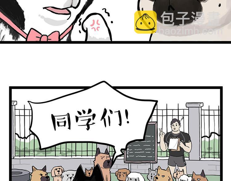第280话 狗上学57
