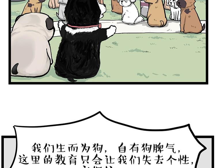 第280话 狗上学58