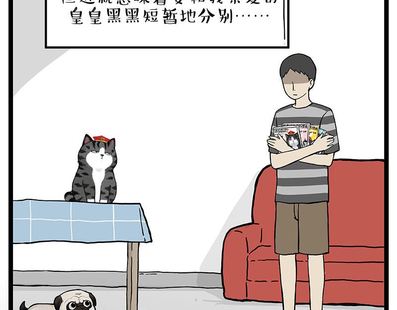 第281话 飞得更高，社死更惨2
