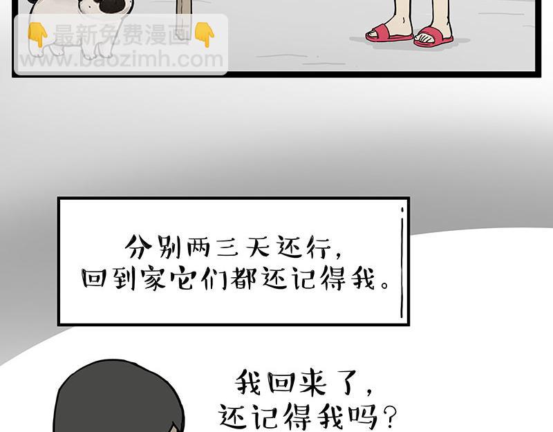 第281话 飞得更高，社死更惨3