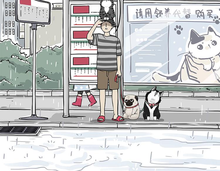 第282话 型男（猫）1