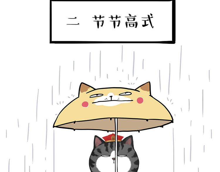 第282话 型男（猫）10