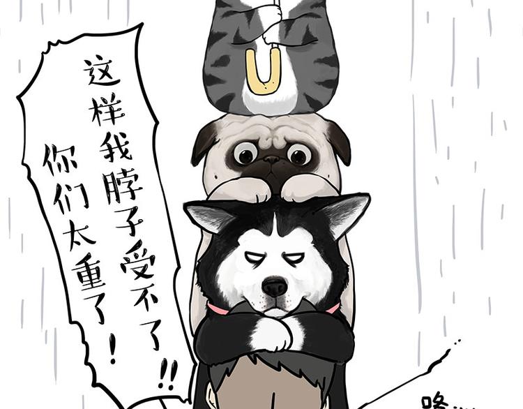 第282话 型男（猫）11