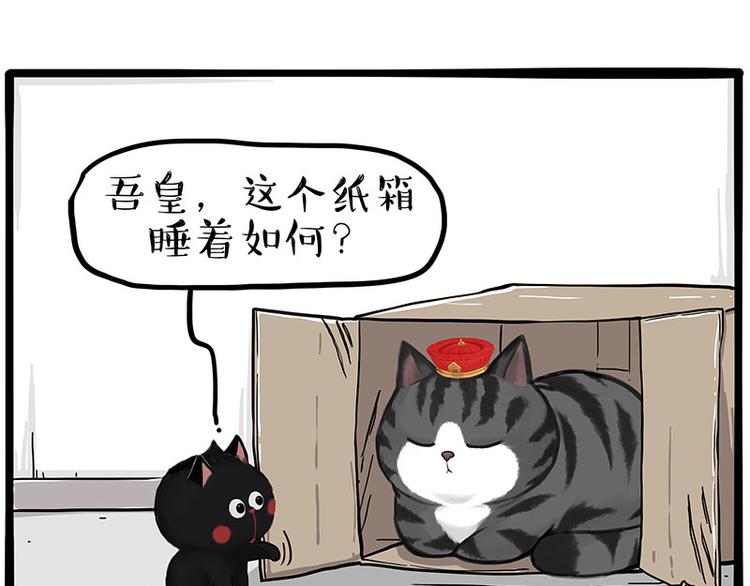 第282话 型男（猫）19