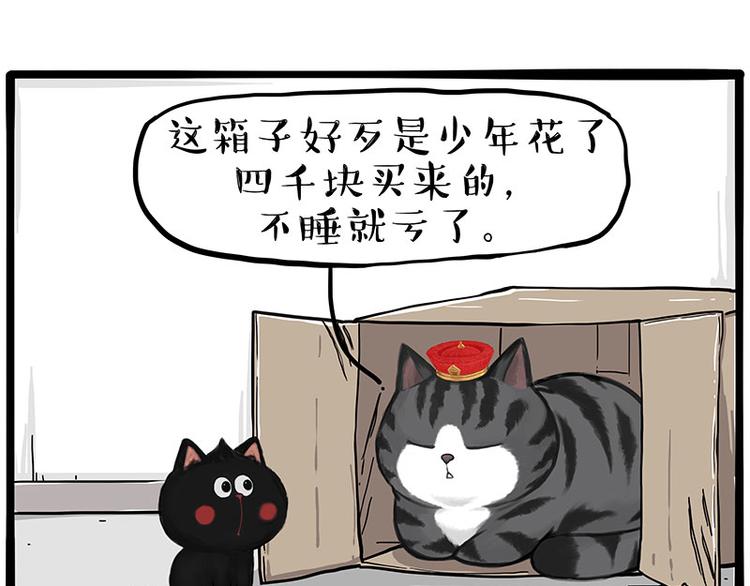 第282话 型男（猫）22