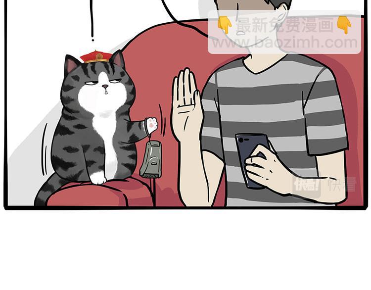 第282话 型男（猫）31