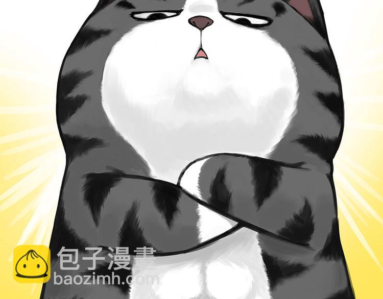 第282话 型男（猫）41