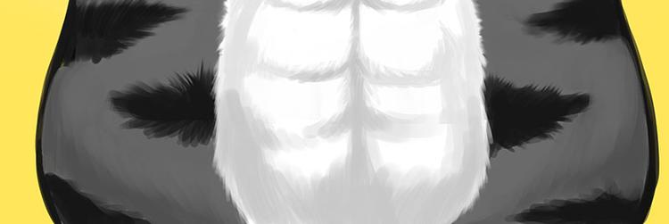 第282话 型男（猫）42