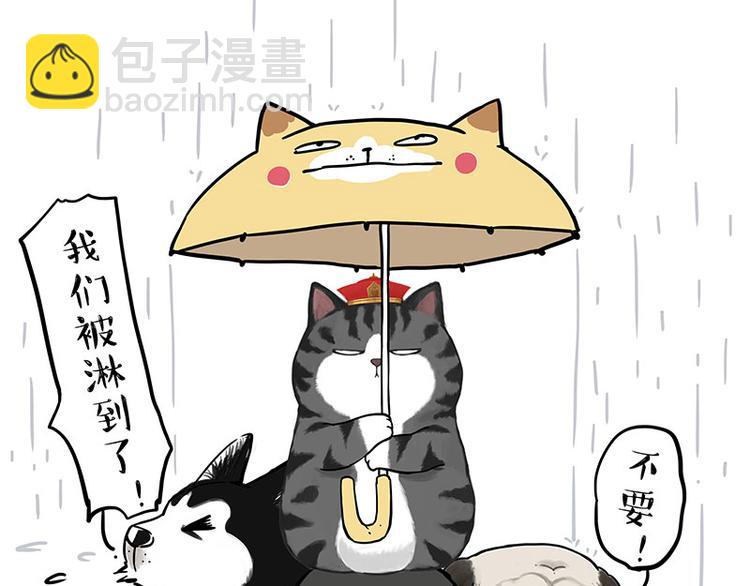 第282话 型男（猫）8