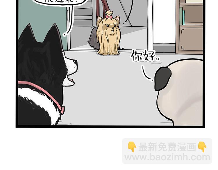 第283话 三角恋44