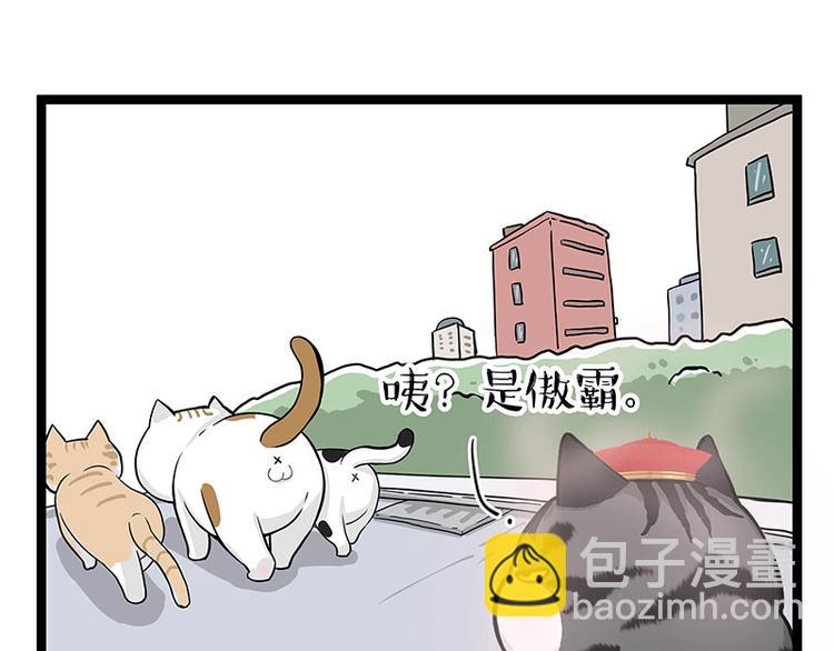 第284话 美喵竟是我自己10