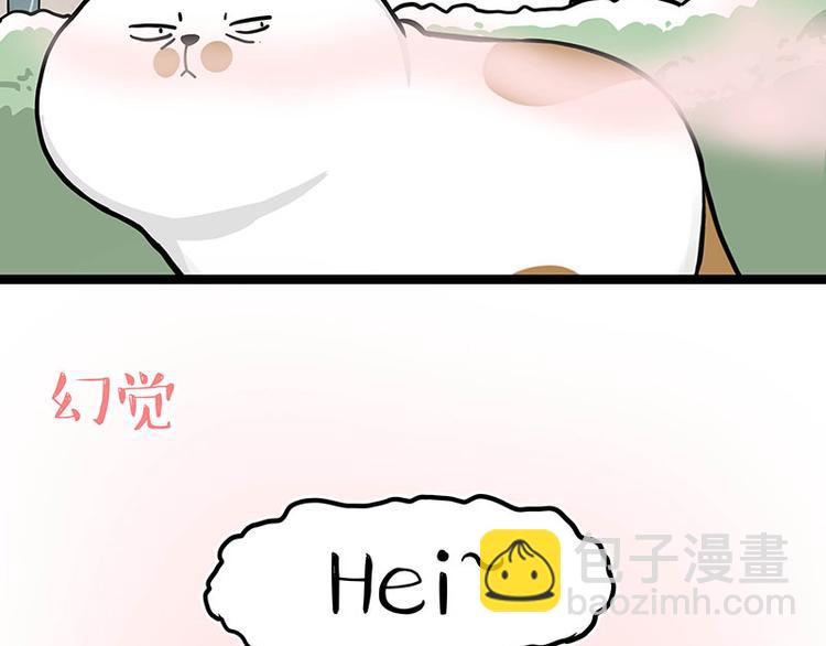 第284话 美喵竟是我自己12