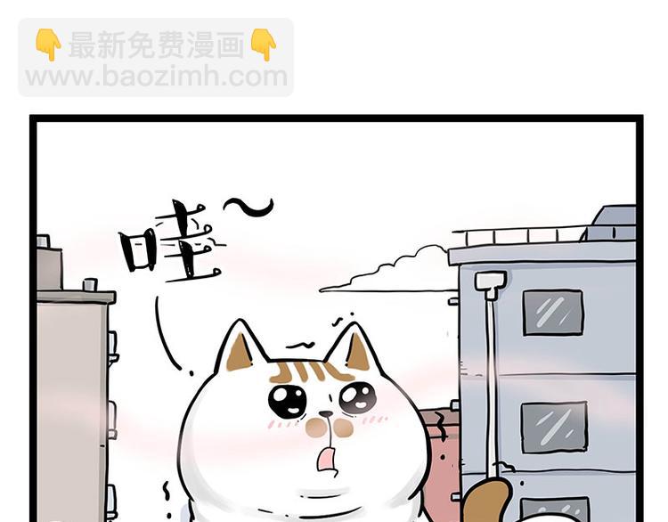 第284话 美喵竟是我自己14
