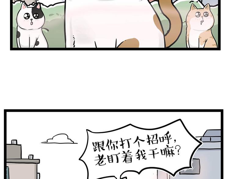 第284话 美喵竟是我自己15