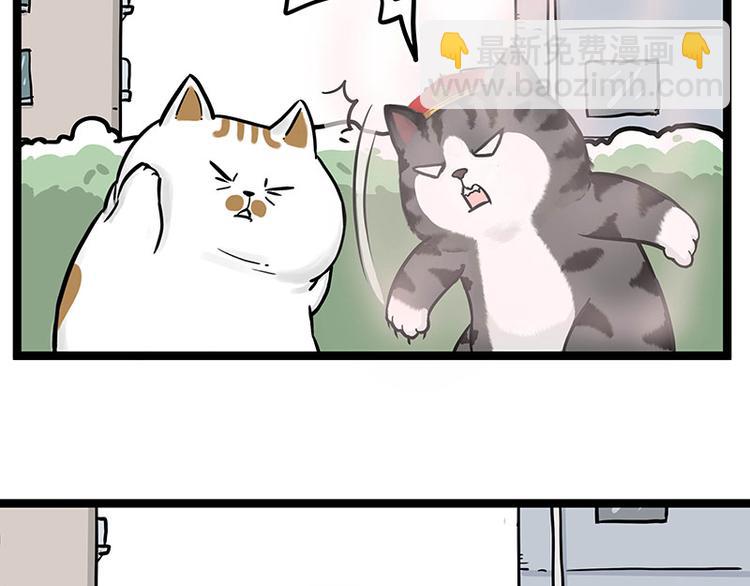 第284话 美喵竟是我自己16