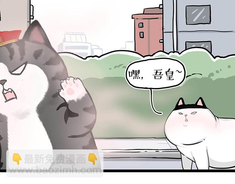第284话 美喵竟是我自己17