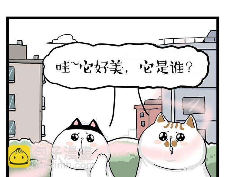 第284话 美喵竟是我自己20