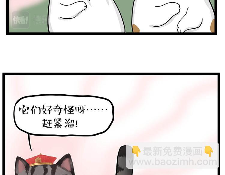第284话 美喵竟是我自己21