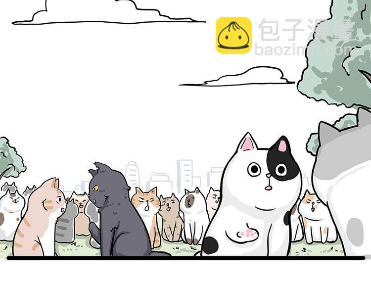 第284话 美喵竟是我自己28