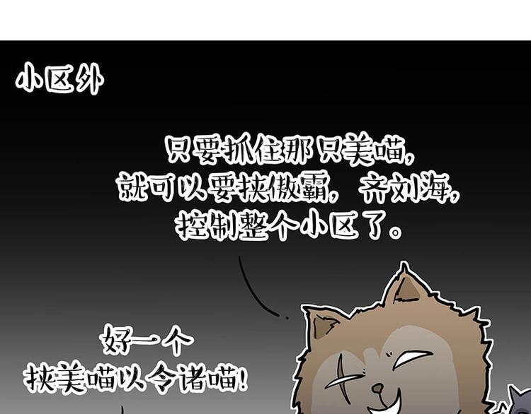 第284话 美喵竟是我自己29