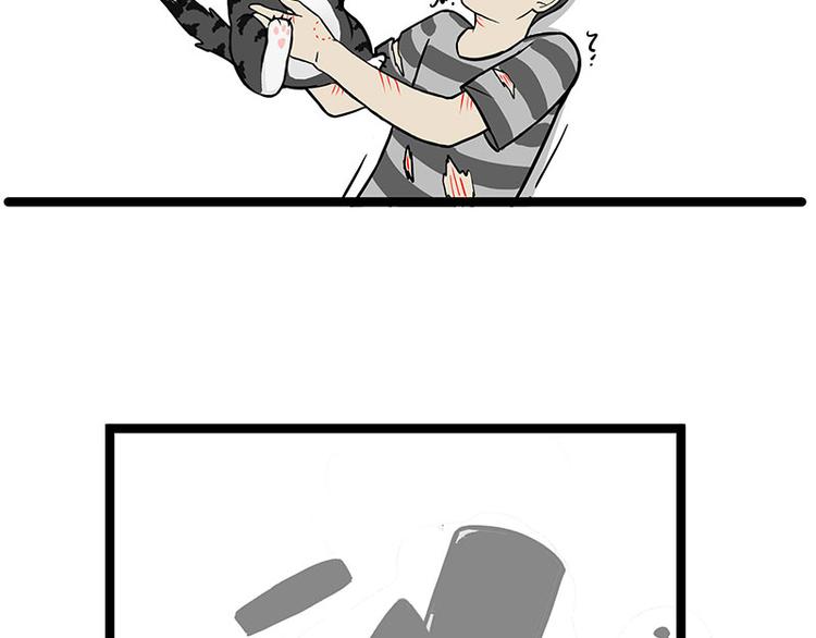 第284话 美喵竟是我自己3