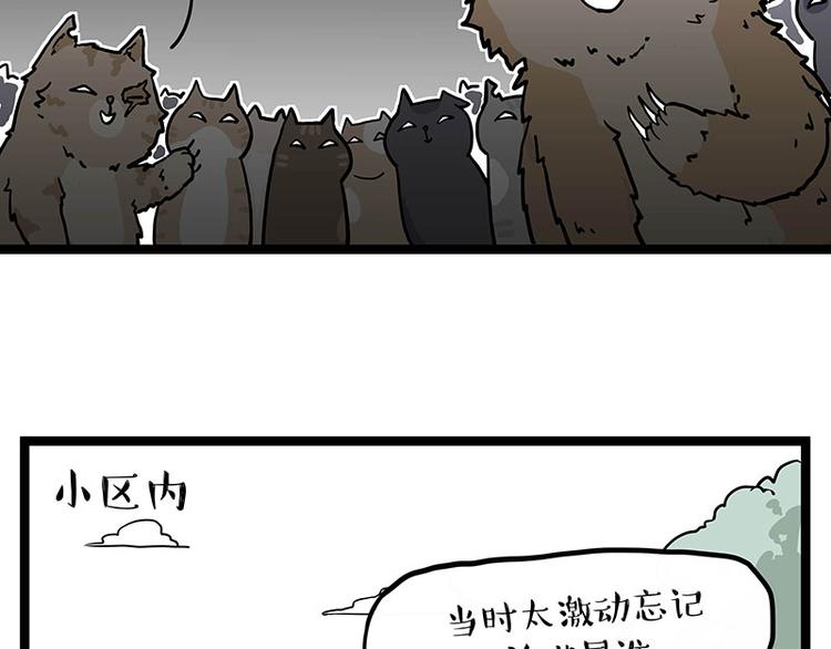 第284话 美喵竟是我自己30