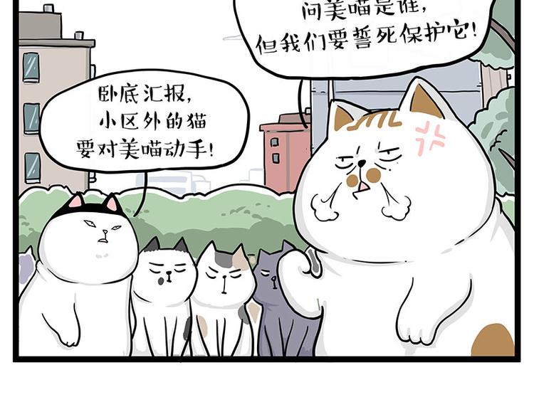 第284话 美喵竟是我自己31