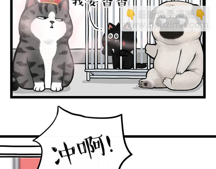 第284话 美喵竟是我自己33