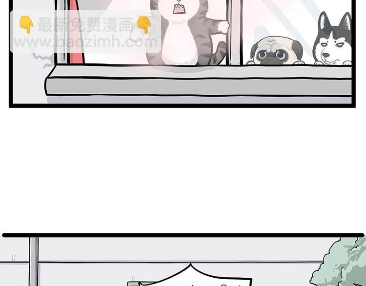 第284话 美喵竟是我自己36