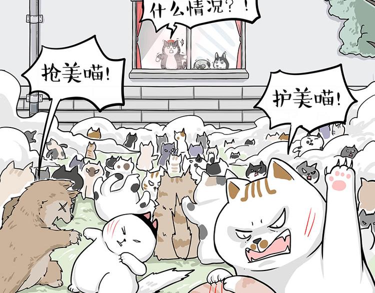 第284话 美喵竟是我自己37