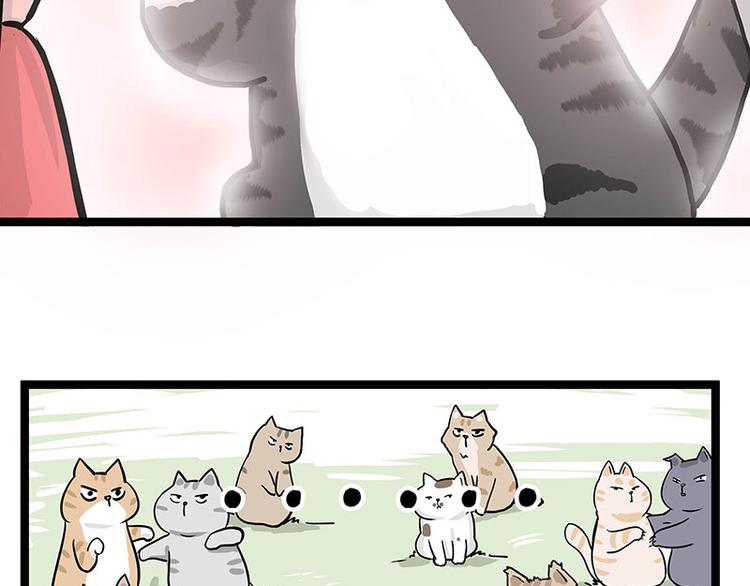 第284话 美喵竟是我自己40