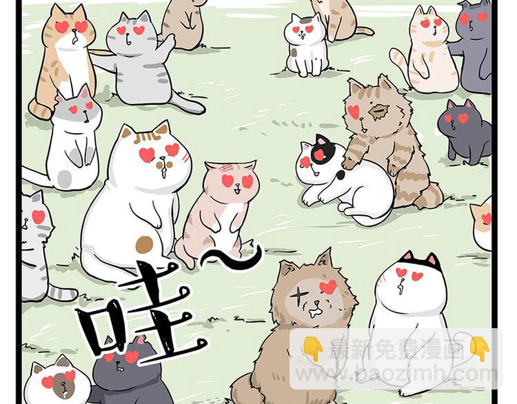 第284话 美喵竟是我自己44